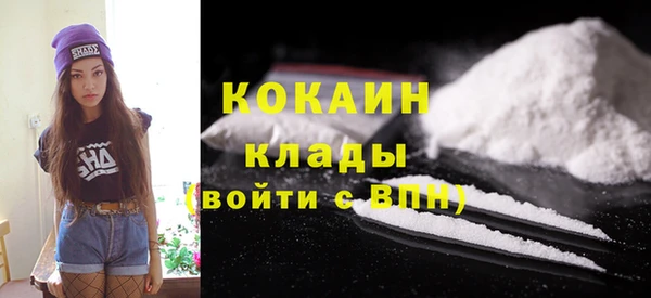СК Бронницы