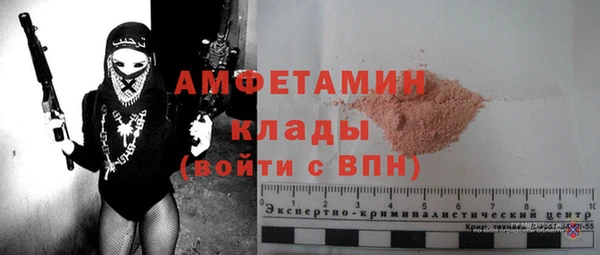 СК Бронницы