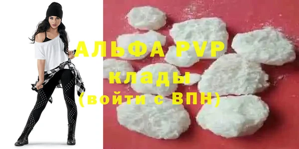 прущий лед Богданович