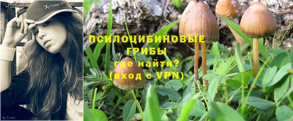 СК Бугульма