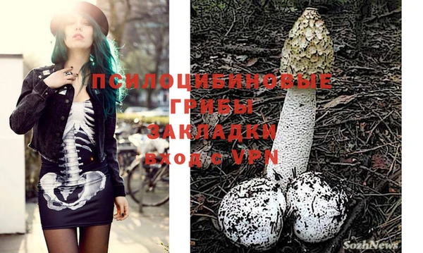MESCALINE Бородино