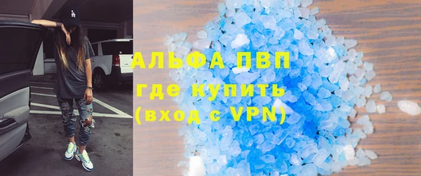 СК Бронницы